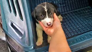 He Cried as Everyone Passed Him By Until This Happened