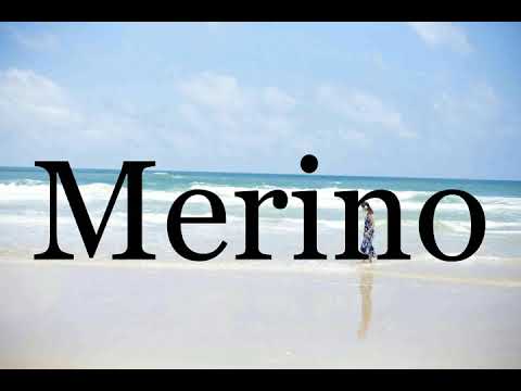 How To Pronounce Merino🌈🌈🌈🌈🌈🌈Pronunciation Of Merino