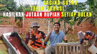 Download lagu BUDIDAYA CACING SUTRA DI LAHAN SEDERHANA TAPI MENGHASILKAN JUTAAN RUPIAH SETIAP BULAN mp3