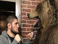 Khabib Nurmagomedov Berlatih Dengan Beruang