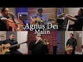 Agnus Dei (Instrumental Cover) - MALIN