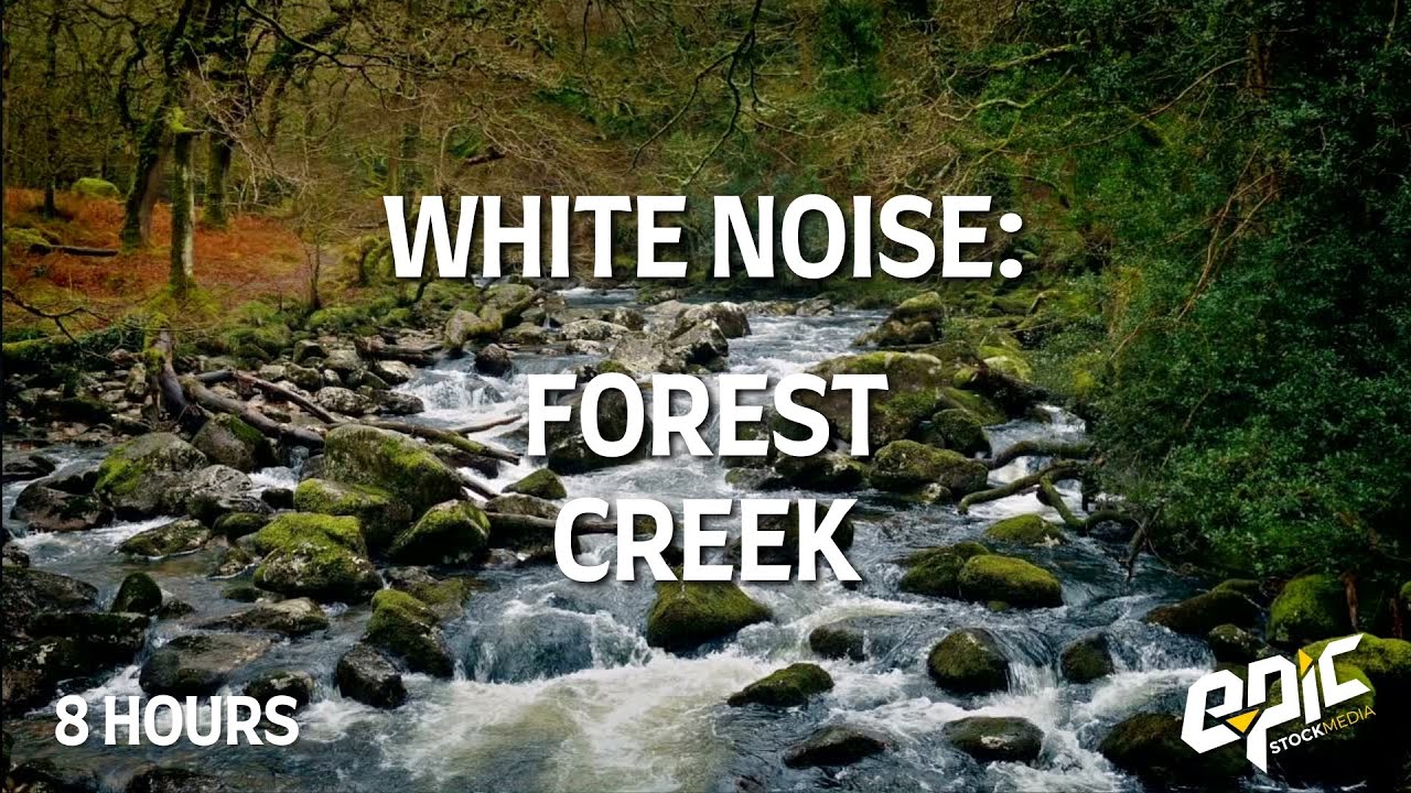 8-Hour Forest Creek Sounds | Relax, Meditate, Study Sleep  - White Noise - No Ads