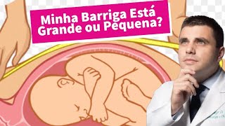 Quantos Centímetros O Bebê Cresce Por Semana Na Barriga