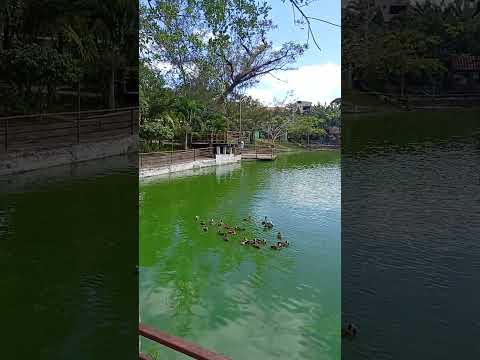 Quintal de casa fica em lagoa seca.pb muito massa