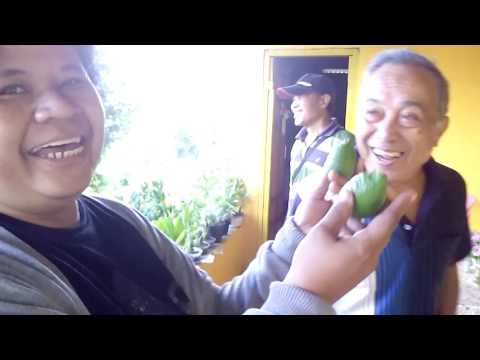 Apa yang harus dilakukan jika Anda melakukannya impotensi Potensi suasana hati Sytina