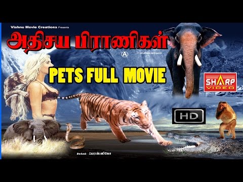 download lagu mp3 mp4 Animal Animation Movies Tamil Dubbed, download lagu Animal Animation Movies Tamil Dubbed gratis, unduh video klip Animal Animation Movies Tamil Dubbed