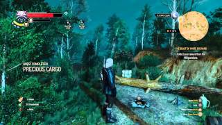The Witcher 3: Wild Hunt Precious Cargo, All Four Endings