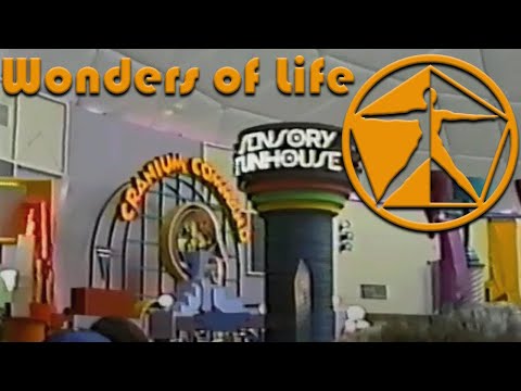 Inside the Wonders of Life 1991