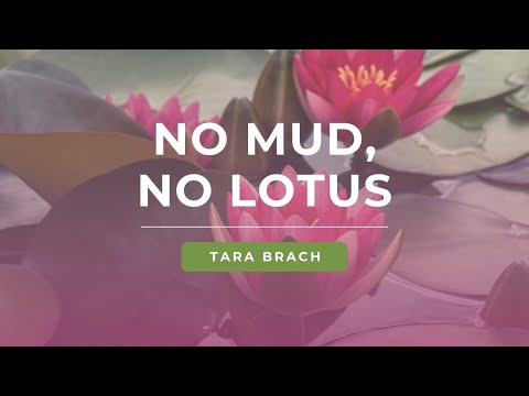 No Mud, No Lotus: Tara Brach on Finding Freedom in Life's Challenges
