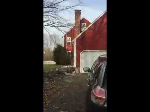 trim 2D2F019A 50D4 4D2D B5FF A974247742E0