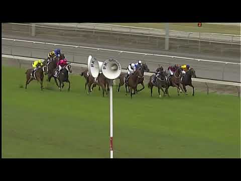Race Replay: Kaimai Stakes - 23 February