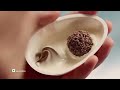 Kinder Joy The Taste Of Joy