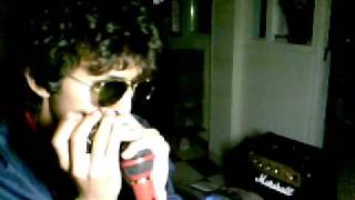 people are stranged- the doors-harmonica-chicobluess