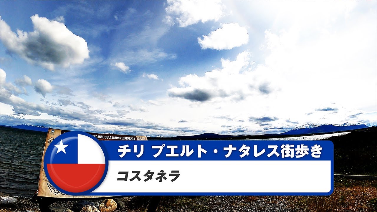 【チリ】プエルト・ナタレス③コスタネラ