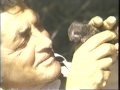 DEAN MARTIN & Great Animal Friends YOUNG AT ...