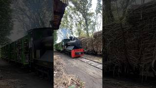 Download lagu kereta jadul uap sekarang jadi pengangkut tebu😱 #kereta #railfans mp3 Download lagu kereta jadul uap sekarang jadi pengangkut tebu😱 #kereta #railfans mp3