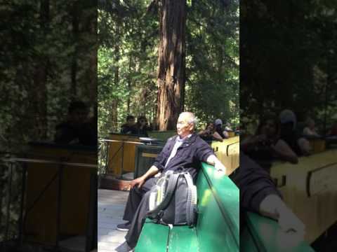 Roaring Camp & Big Trees - stage 2 - Felton - Santa Cruz - CA
