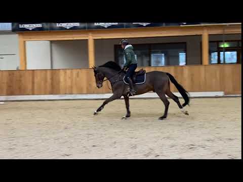 Forlee v. For Pleasure-Comme il faut