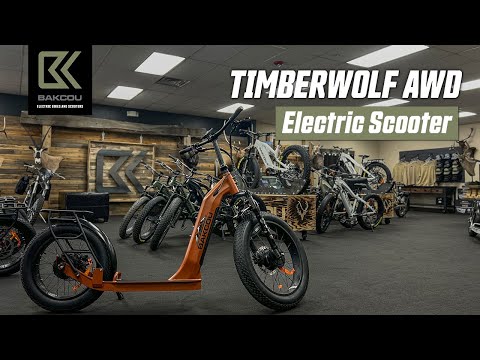 Most Powerful Fat Tire All Wheel Drive Electric Scooter Bakcou Bafang 1000 watt