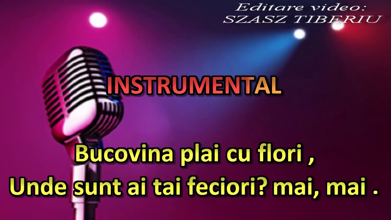Cânta cucu bat? l vina,versuri originale, karaoke