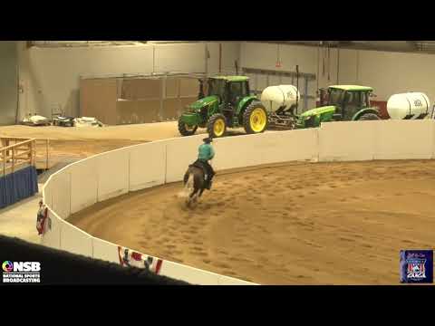 2021 Quarter Horse Congress Reining Open Futurity Brandon Brant on Gun A Lida