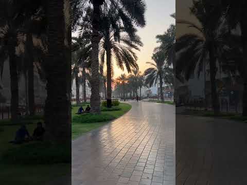 Evening muteena park DxB
