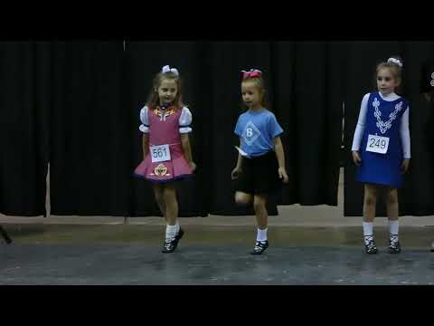 Gizmo - Pat Roche Feis 2022