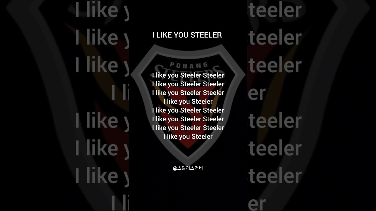 포항스틸러스-I LIKE YOU STEELER[신규] #포항스틸러스 #축구 #k리그 #k리그1 #프로축구 #월드컵 #응원가 #쇼츠추천 #shortvideo #fyp