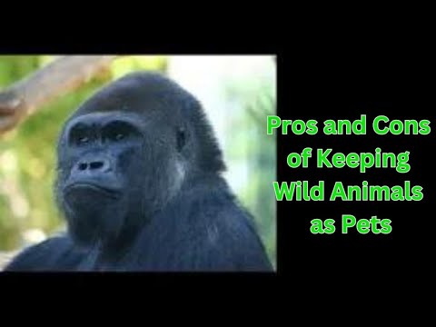 Pros and Cons of Keeping Wild Animals as Pets