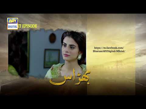 Bharaas Episode 42 - Teaser - ARY Digital Drama