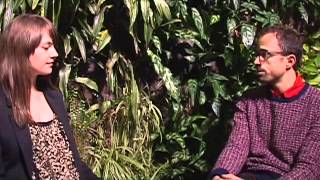 Songwriting 101 with Jesse Harris @ Lincoln Center