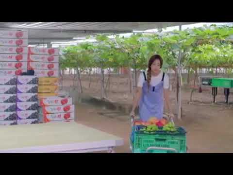 SOUL PLATE ep5 (english sub)