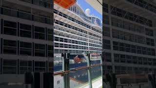Sister ships side by side!. #yt #ytshorts #travel #cruiseship #cruise