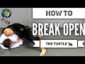 How To BREAK OPEN The Turtle 👊🦊 S:5-Ep:25 #ROLLwithTheFOX