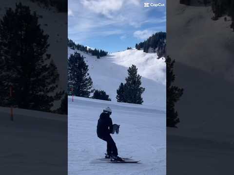 Hobbyhorse Skiing #hobbyhorses#ski#hobbyhorsing#hobbyhorses#hh#kht#fyp#short#pferd#pferde#horses