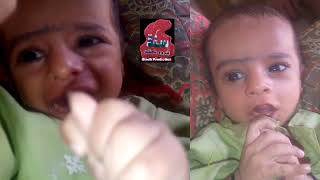 Download lagu Sindh production gold official video mp3