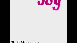 The Lightning Seeds - Joy