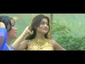 যে পাখি ঘর বোঝেনা