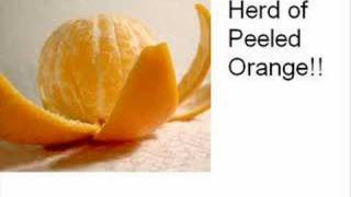 Kalmah&#39;s Bird of Ill Omen Interpretation