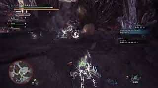 【PS4】歴戦王ネルギガンテに挑む