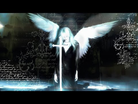 KORDHELL x TWISTED x GLOSSIER - TRAGELUXE