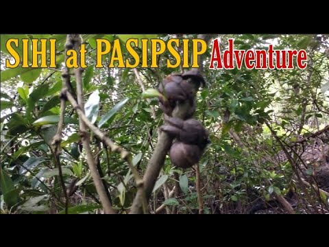 Amazing Ilog Experience Part 1 : Ang Pangunguha ng Sihi at Pamamandaw ng Pasipsip