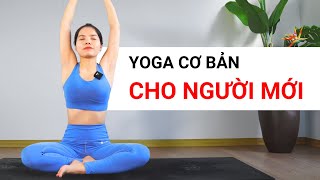 Yoga cho người mới bắt đầu, bài tập CƠ BẢN DỄ TẬP TẠI NHÀ | Hoàng Uyên Yoga