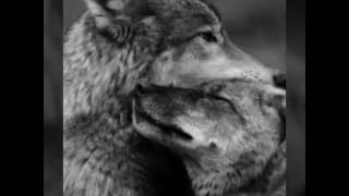 Mike Bird - Closer (testo)