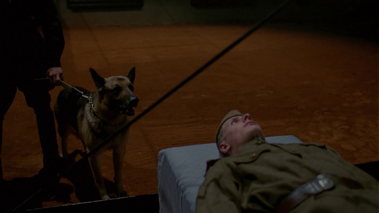 DAU. Degeneration (DAU. Degeneratsia) new clip official from Berlin Film Festival 2020 - 3/3