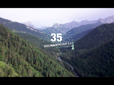 Wir sind das Bergwaldprojekt