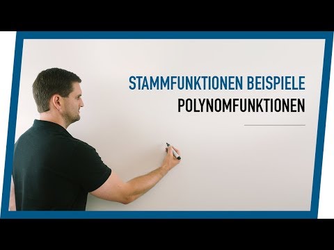Stammfunktionen bei Polynomfunktionen (ganzrationale Fkt.) | Mathe by Daniel Jung