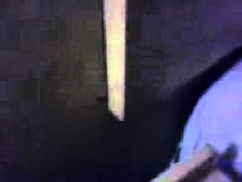 roach infested motel 6 washington DC. 6711 GEORGIA AVE. N.W 202-722-1600