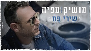 שירי פח