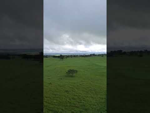 sítio na cidade de lagoa do Ouro Pernambuco